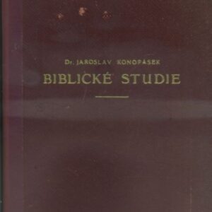 Biblické studie