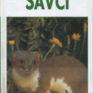 Savci