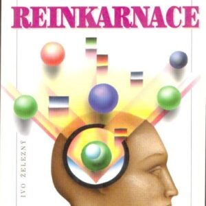 Reinkarnace