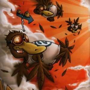 Pozpátku letící divoké kachny : krátké texty