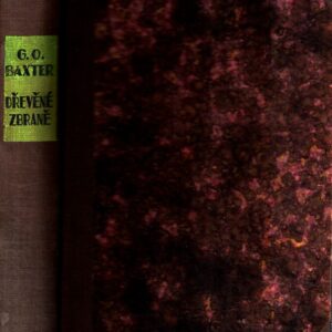 Dřevěné zbraně : Wooden guns