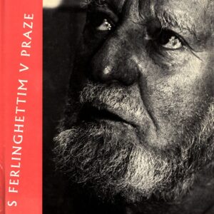 S Ferlinghettim v Praze : rozhovory