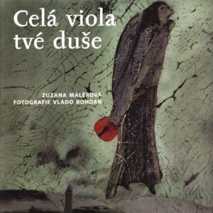 Celá viola tvé duše