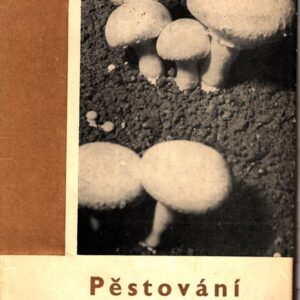 Pěstování žampiónů