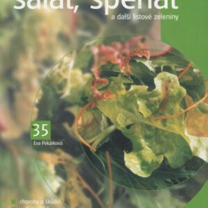 Pěstujeme salát, špenát a další listové zeleniny