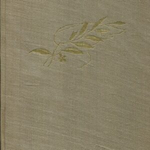 Cesta do hlubin nitra