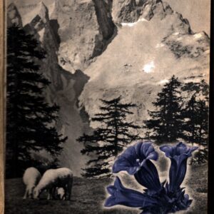 Ze života horolezce