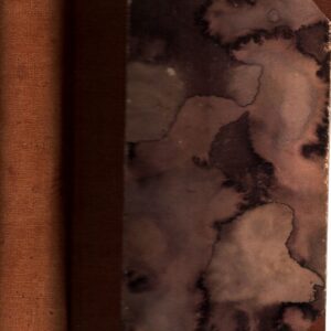 Vzlety lidstva : Román budoucnosti