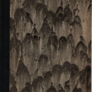 Príspevok k dejinám slovenského robotníckeho hnutia