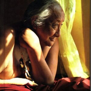 Nebojácný soucit : vysvětlení Atíšova Sedmibodového výcviku mysli