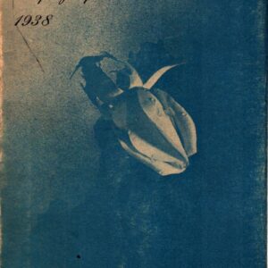 Dopisy z podzimu 1938 : výběr z umělcovy korespondence