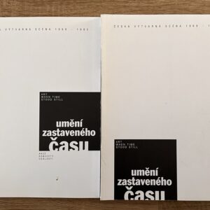 Umění zastaveného času, Česká výtvarná scéna 1969 - 1985