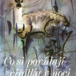 Co si povídají zvířátka v noci