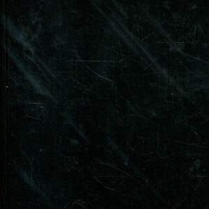 Vražda prvního stupně