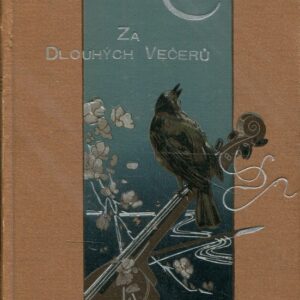 Za dlouhých večerů