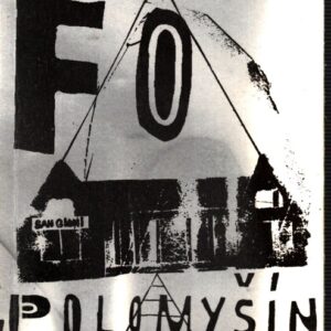 Polomyšín : mých prvních sedm let (a nějaké navíc)