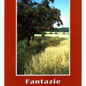 Fantazie na dovolené : romantický příběh