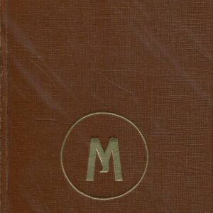 Werther Román mladé lásky