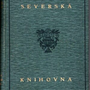 Půlnoční slunce : Román