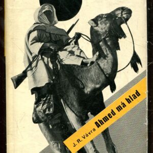 Ahmed má hlad : Saharské epos