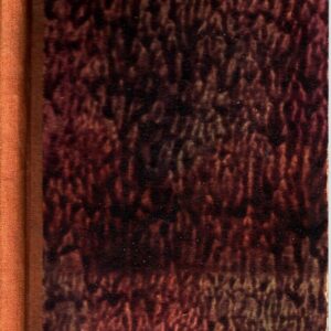 Technika mikroskopická