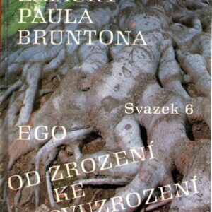 Zápisky Paula Bruntona. (Svazek 6), Ego ; Od zrození ke znovuzrození