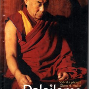 Stezka k probuzení : esence zušlechtěného zlata