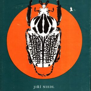 Podivuhodná setkání : na lovu hmyzu, plazů a obojživelníků