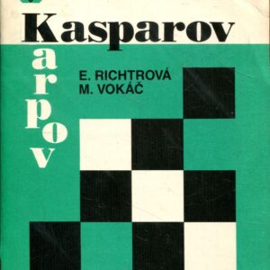 Zápas o mistra světa New York - Lyon, Kasparov-Karpov