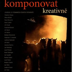 Naučte se komponovat kreativně : (vyučuje 25 významných českých fotografů)