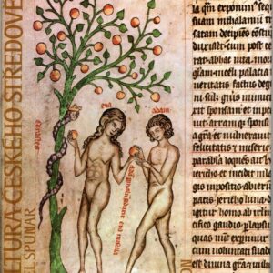 Kultura českého středověku