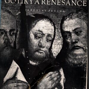 Česká malba pozdní gotiky a renesance : deskové malířství 1450-1550