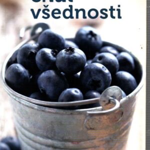 Šťavnatá chuť všednosti vychutnávat si posvátné chvíle každodenního života