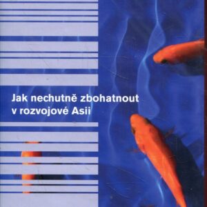 Jak nechutně zbohatnout v rozvojové Asii