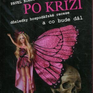 Finance po krizi : důsledky hospodářské recese a co bude dál