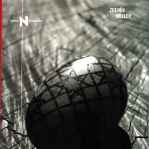 Islám a islamismus : dilema náboženství a politiky