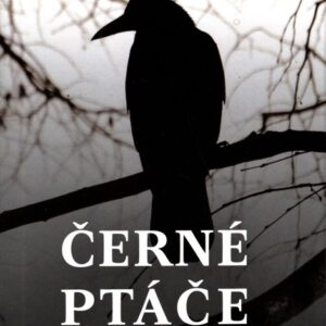 Černé ptáče Pravdivý příběh Nabarveného ptáčete