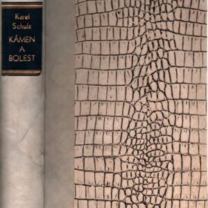 Kámen a bolest