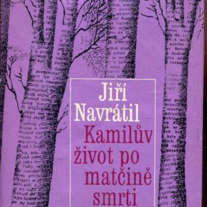 Kamilův život po matčině smrti