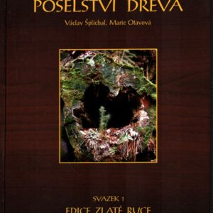 Zlaté ruce. Svazek 1, Poselství dřeva : most mezi minulostí, přítomností a budoucností : historická paměť, svědectví, vize