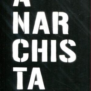 Anarchista poznámky k románu