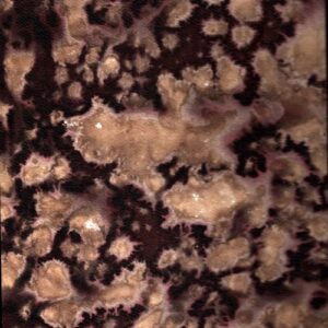 Čtyři od pěchoty : Jejich poslední dny na západní frontě 1918