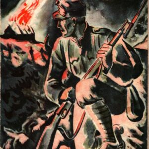 Špatný voják : román