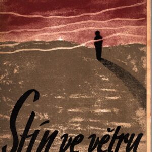 Stín ve větru : Román