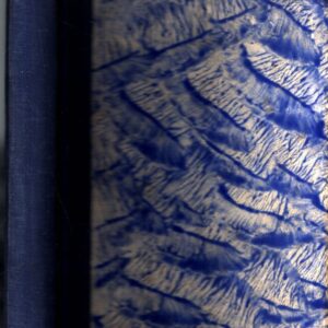 Záhadné zmizení Jamese Butlera : L'énigmatique disparition de James Butler