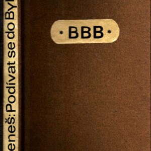 Podívat se do Bylan / román