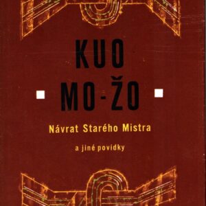 Návrat starého mistra a jiné povídky