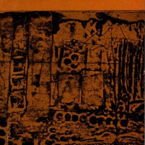 Rákosinové zátoky