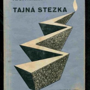 Tajná stezka : technika k duchovnímu nalezení Sebe pro moderní svět = The secret path