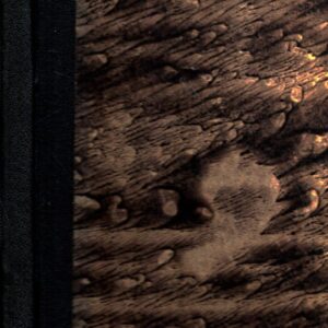 Dílo Antonína Sovy. sv. 4, Básně nesobeckého srdce